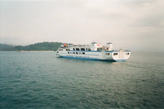 a large white and blue boat in a body of water