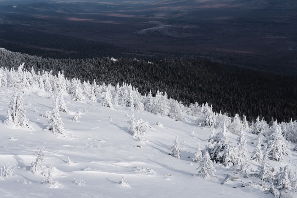 une personne qui fait de la planche à neige sur une pente enneigée