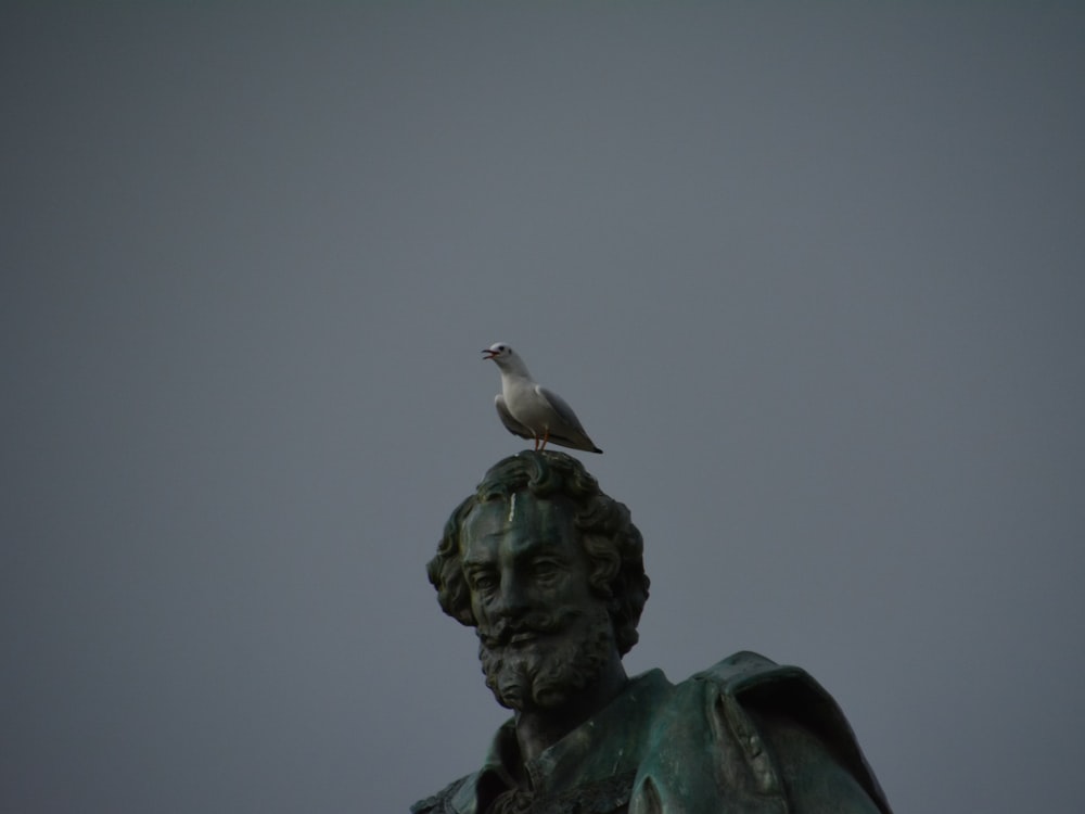a bird sitting on top of a statue of a man