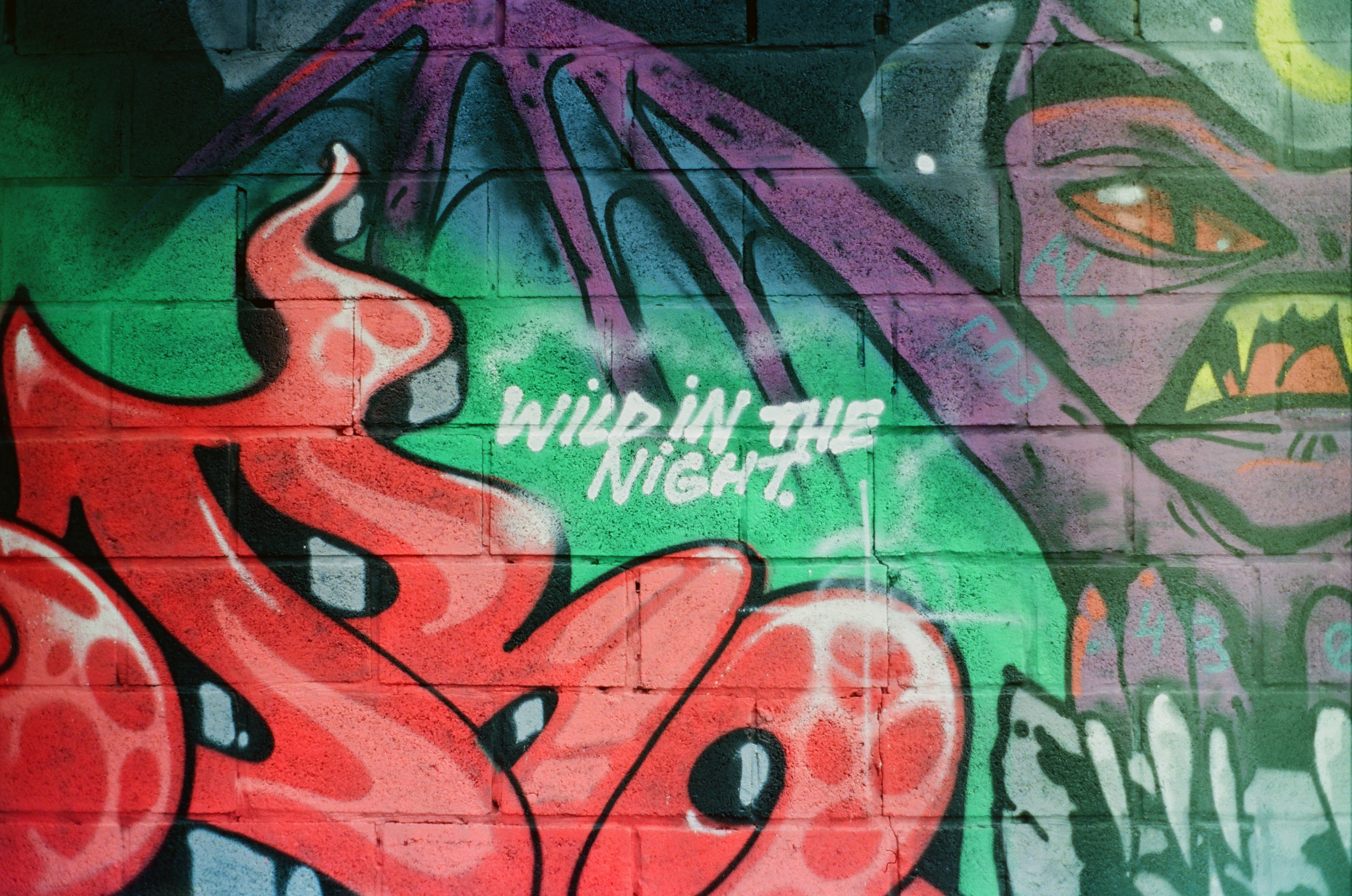 Lutsk, Ukraine - None