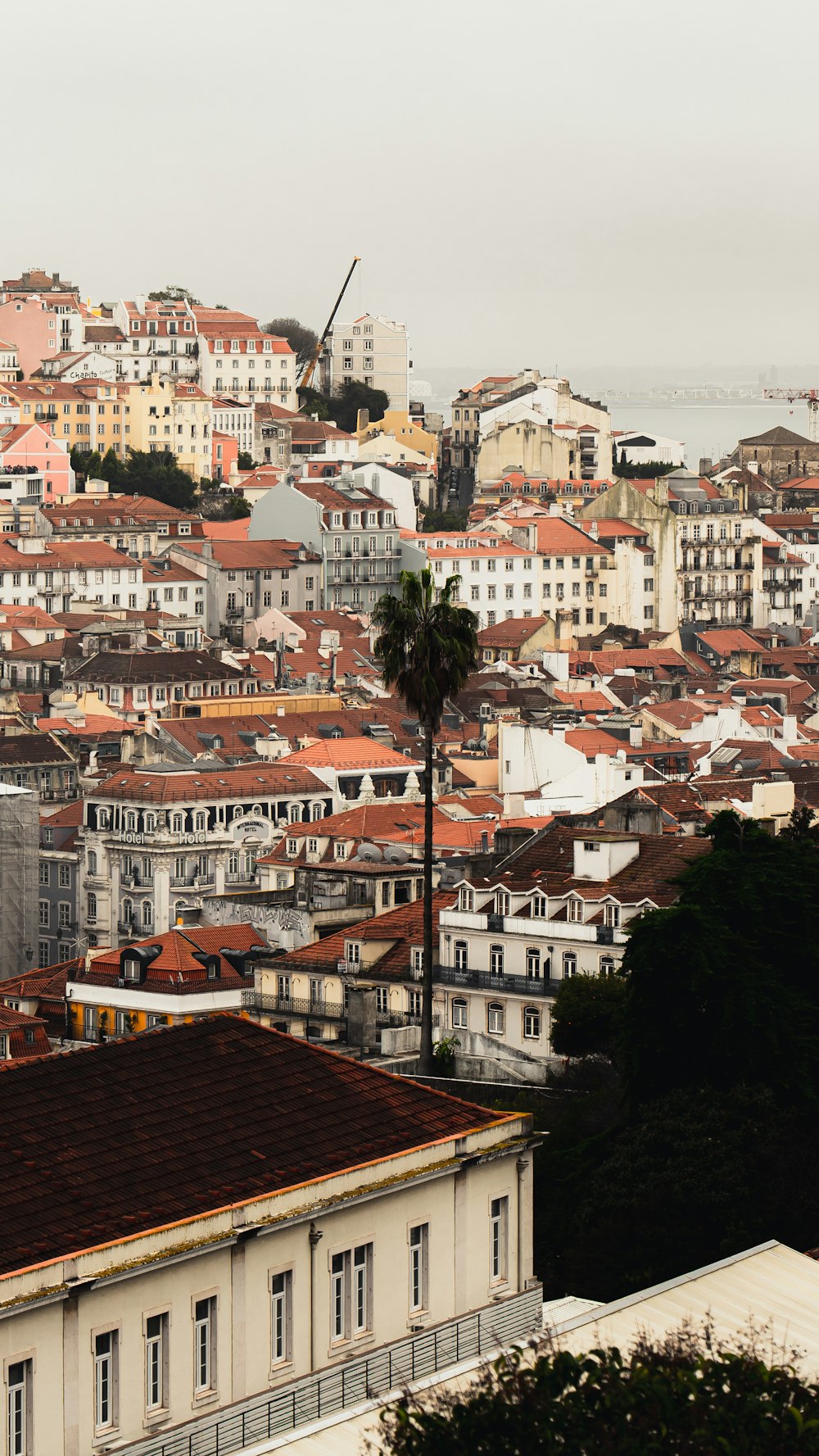 a view of a city with lots of buildings