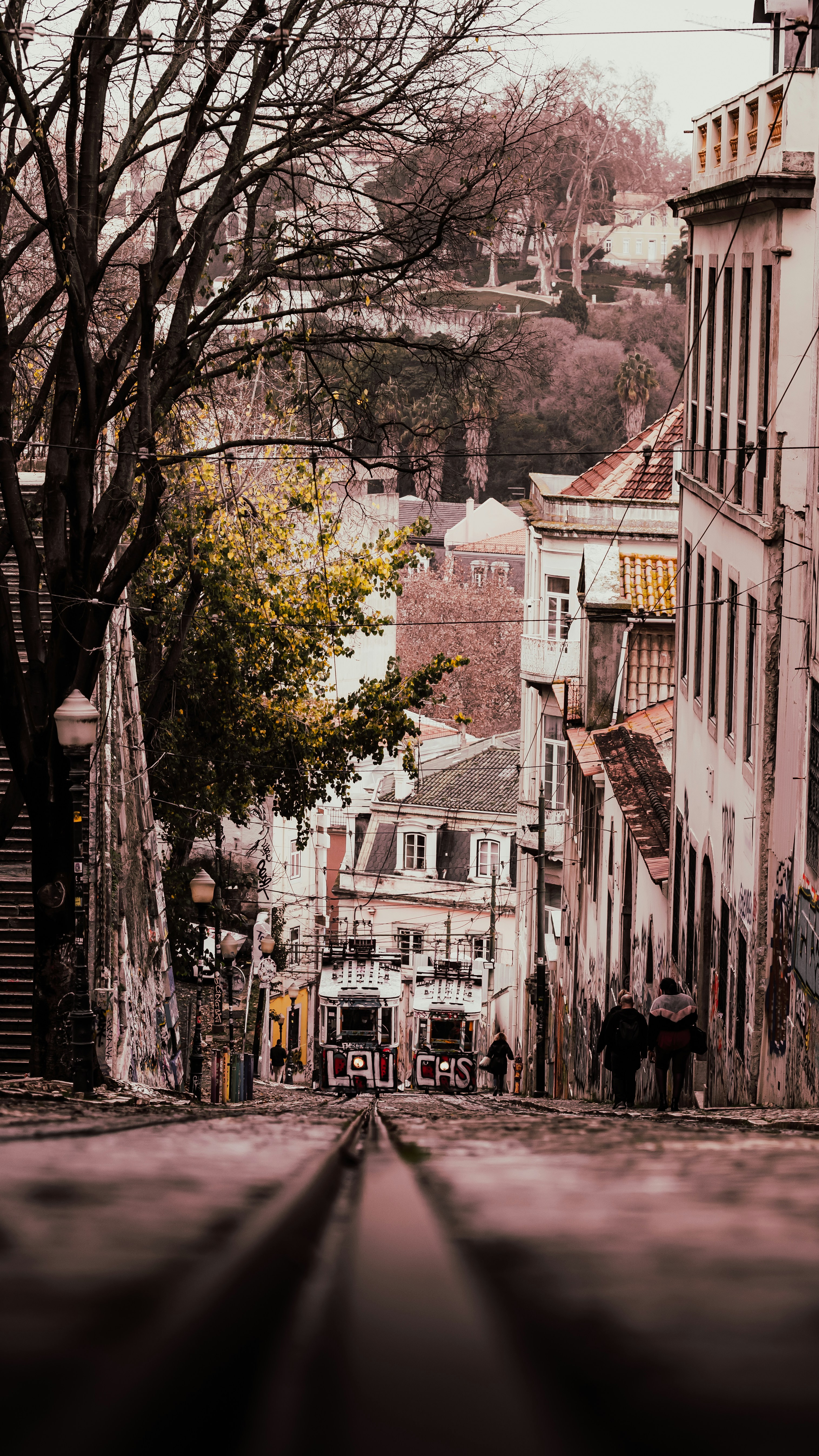 a city street with a few buildings and trees