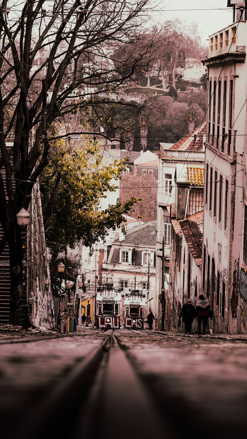 a city street with a few buildings and trees