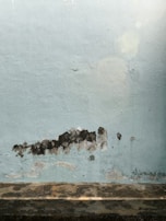 A textured wall with patches of peeling paint and discoloration, showing signs of wear and age. The lower portion displays various shades of brown and black, suggesting water damage or mold. Sunlight is creating lens flare effects on the right side.