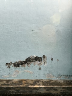 A textured wall with patches of peeling paint and discoloration, showing signs of wear and age. The lower portion displays various shades of brown and black, suggesting water damage or mold. Sunlight is creating lens flare effects on the right side.