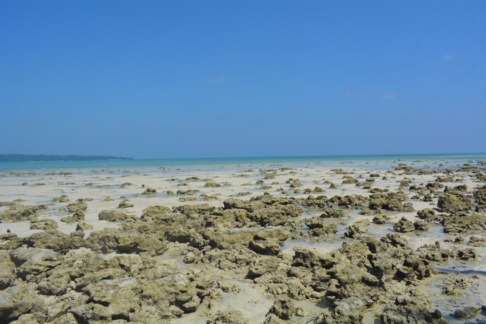 a sandy beach with rocks and water under a blue sky