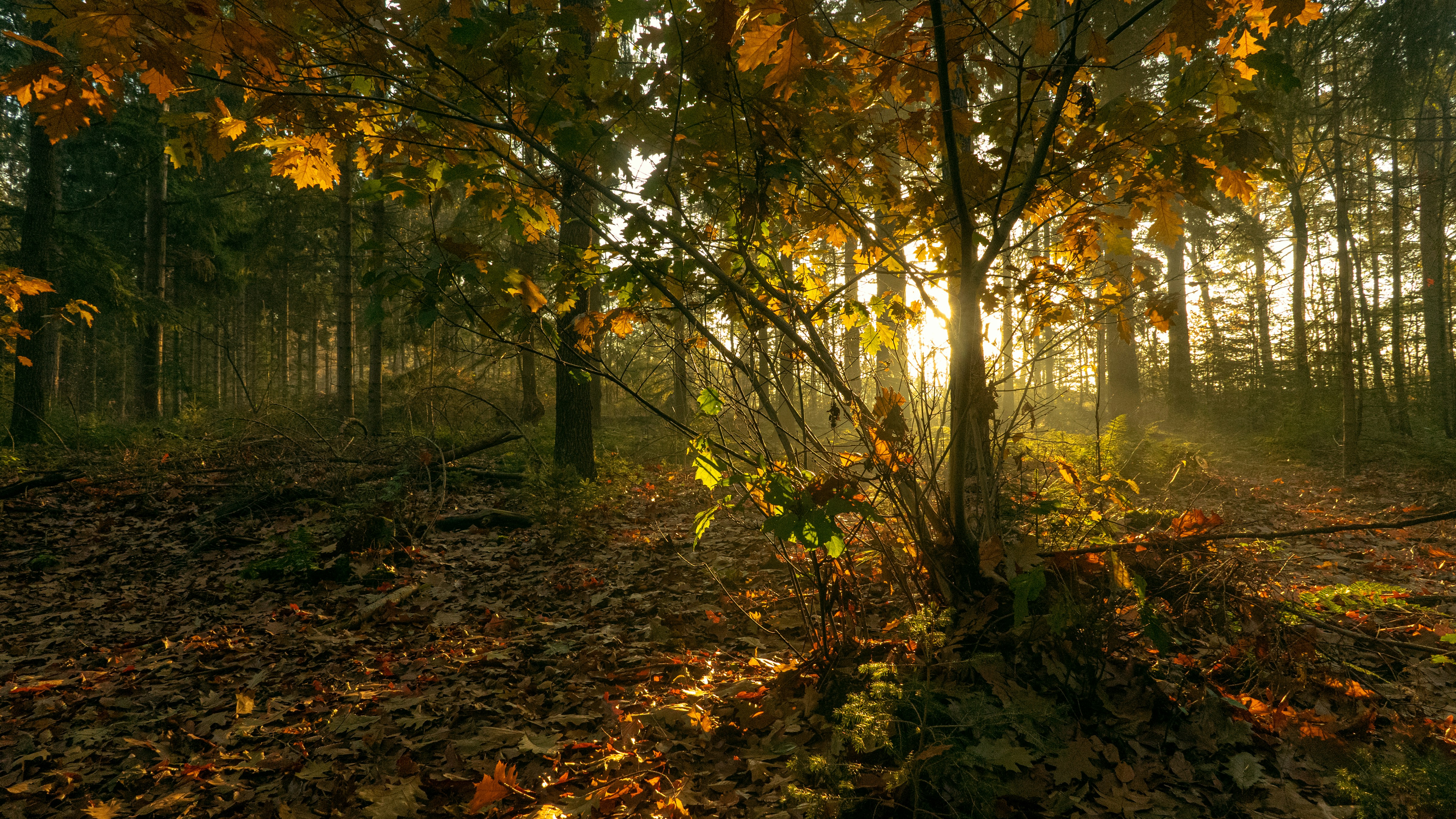 Photo by theo_aartsma