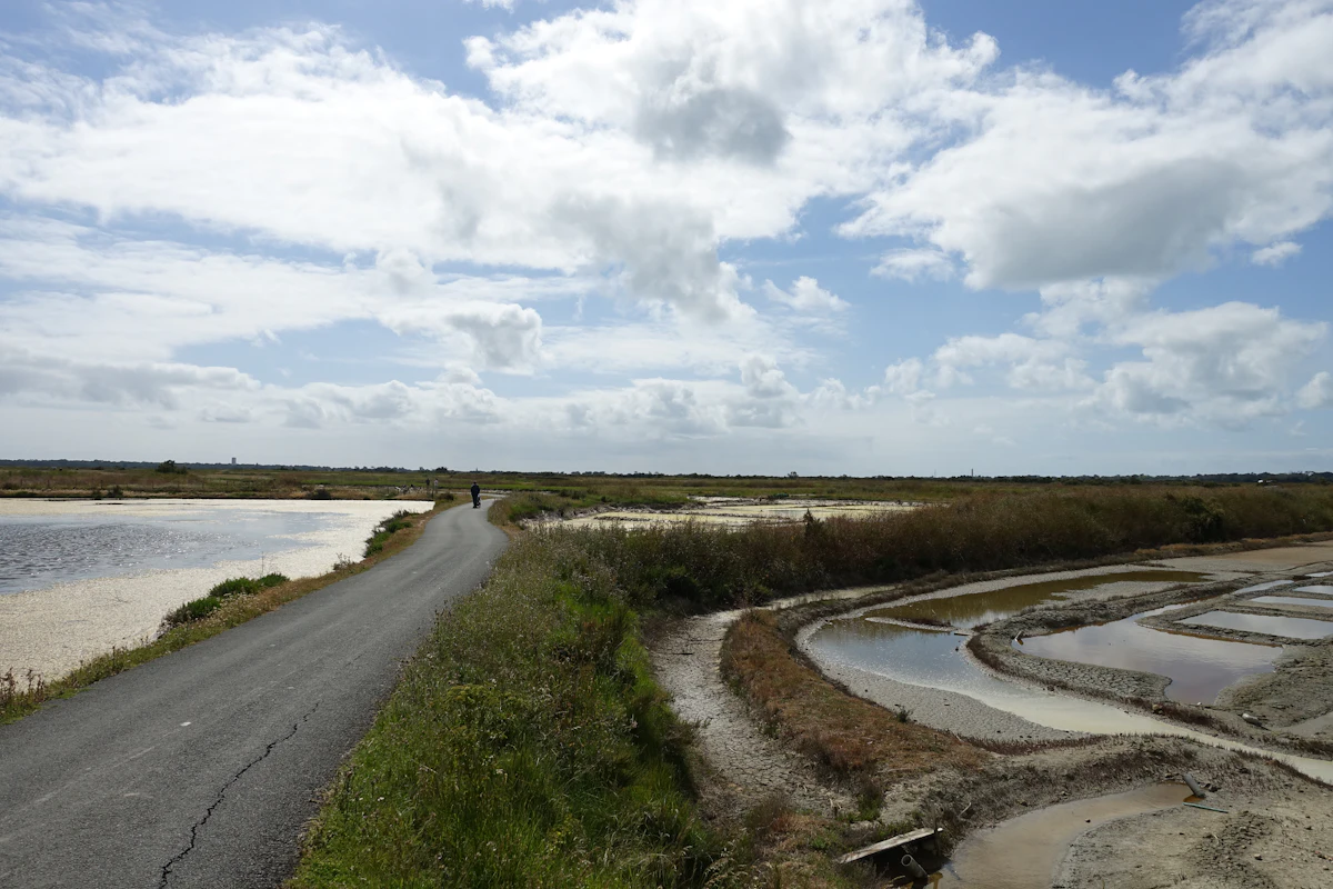 Chemin le long des marais de l’Île de Ré