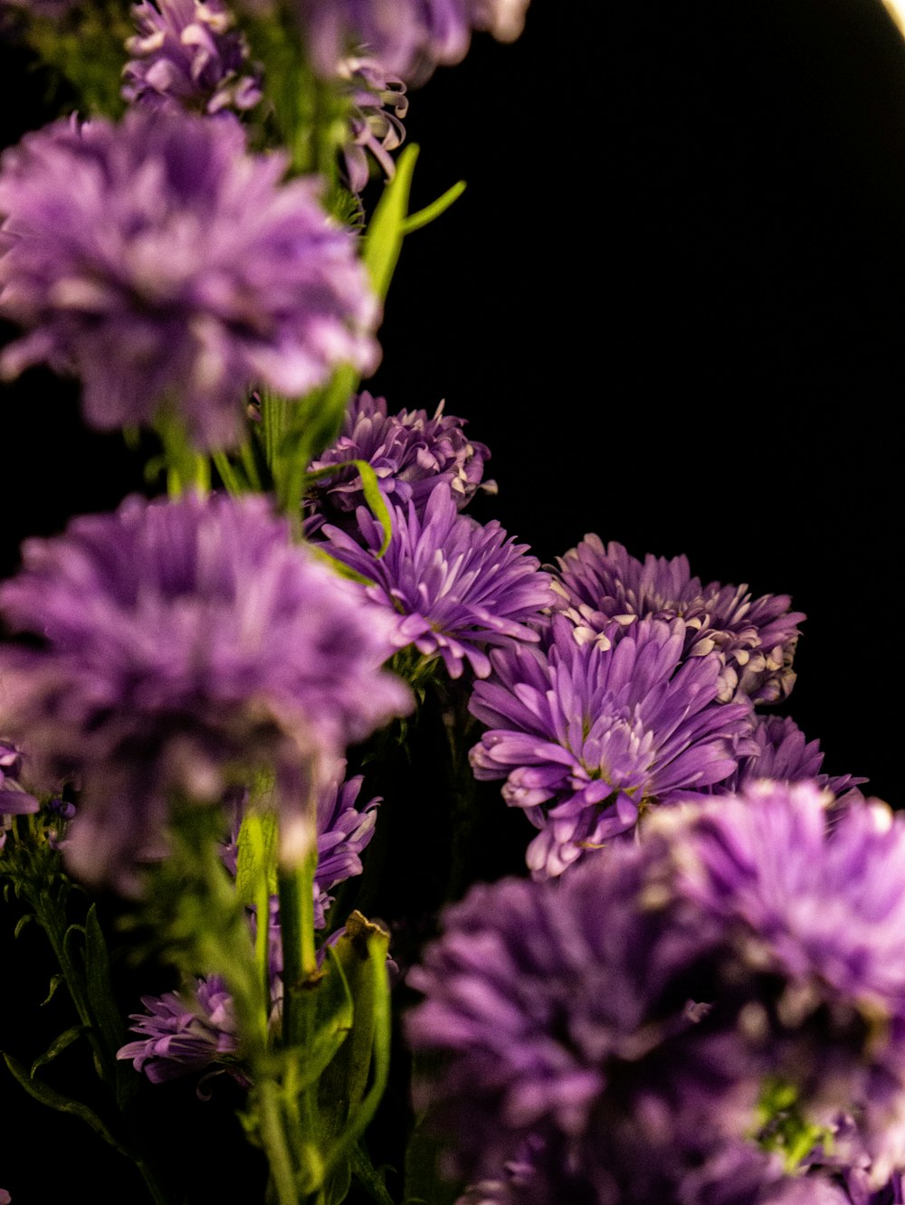 Un ramo de flores púrpuras en un jarrón