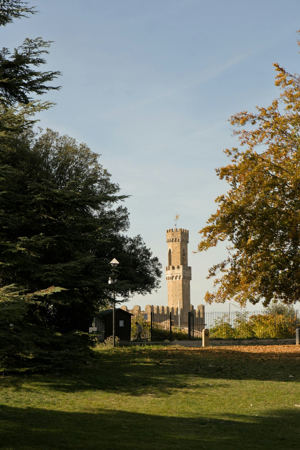 Un'alta torre dell'orologio che domina un lussureggiante parco verde