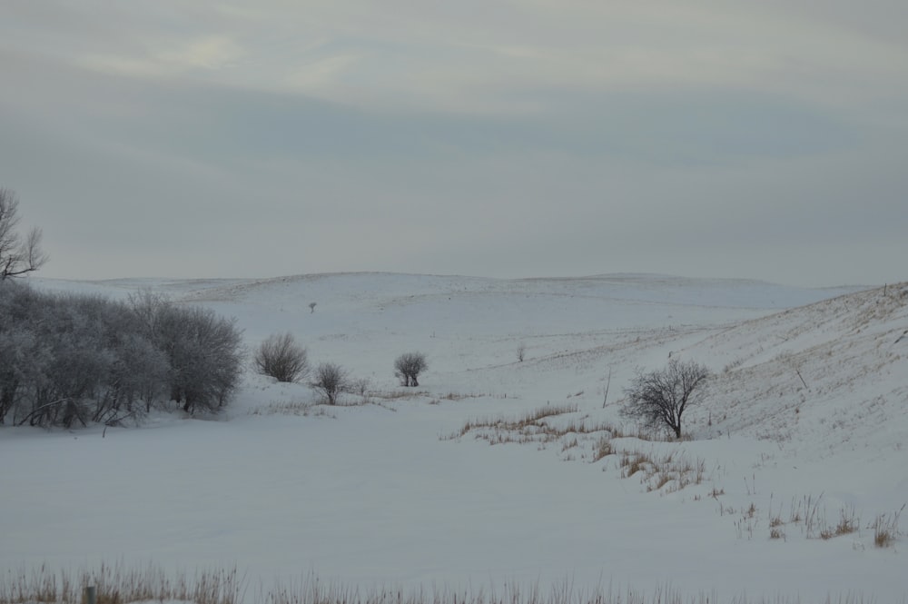 a snowy landscape with trees and hills in the background