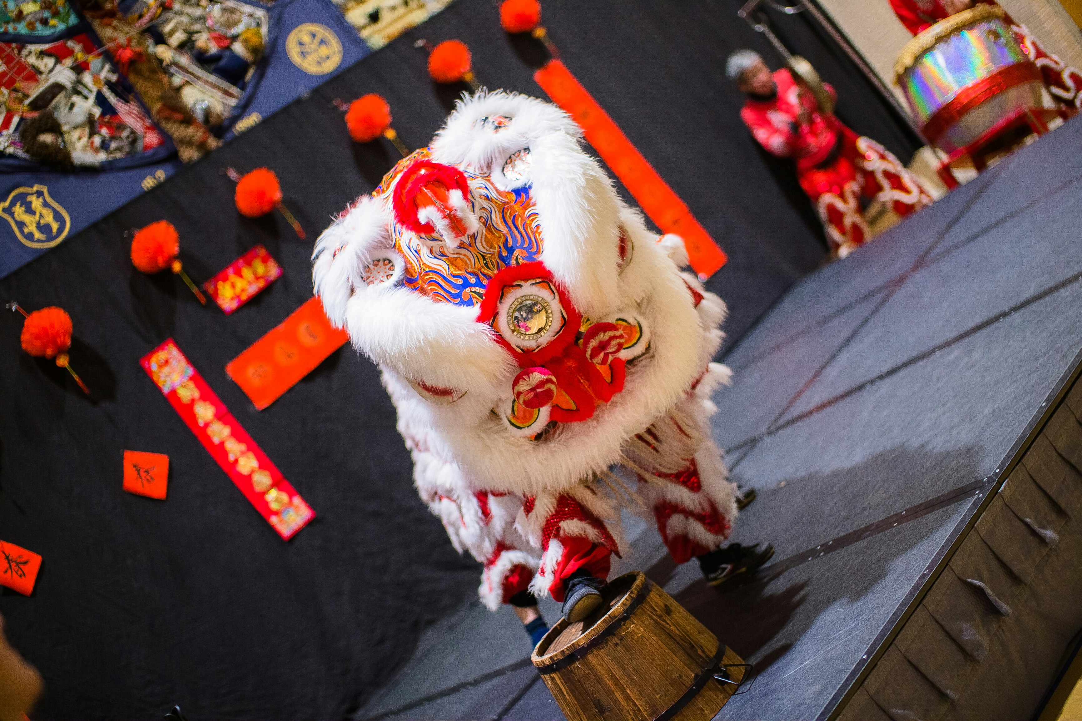 a man in a lion costume standing on a stage