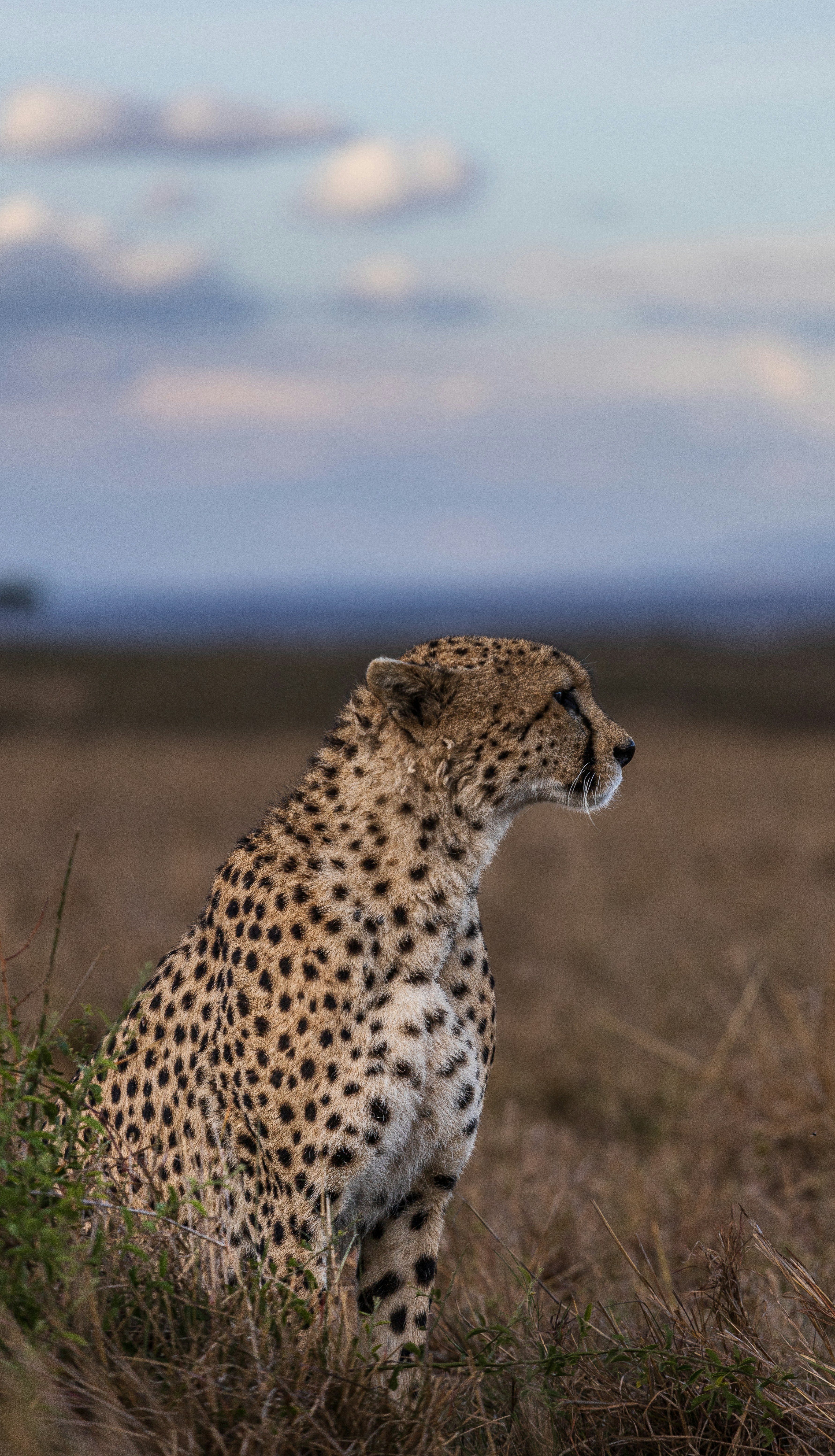 Serengeti National Park