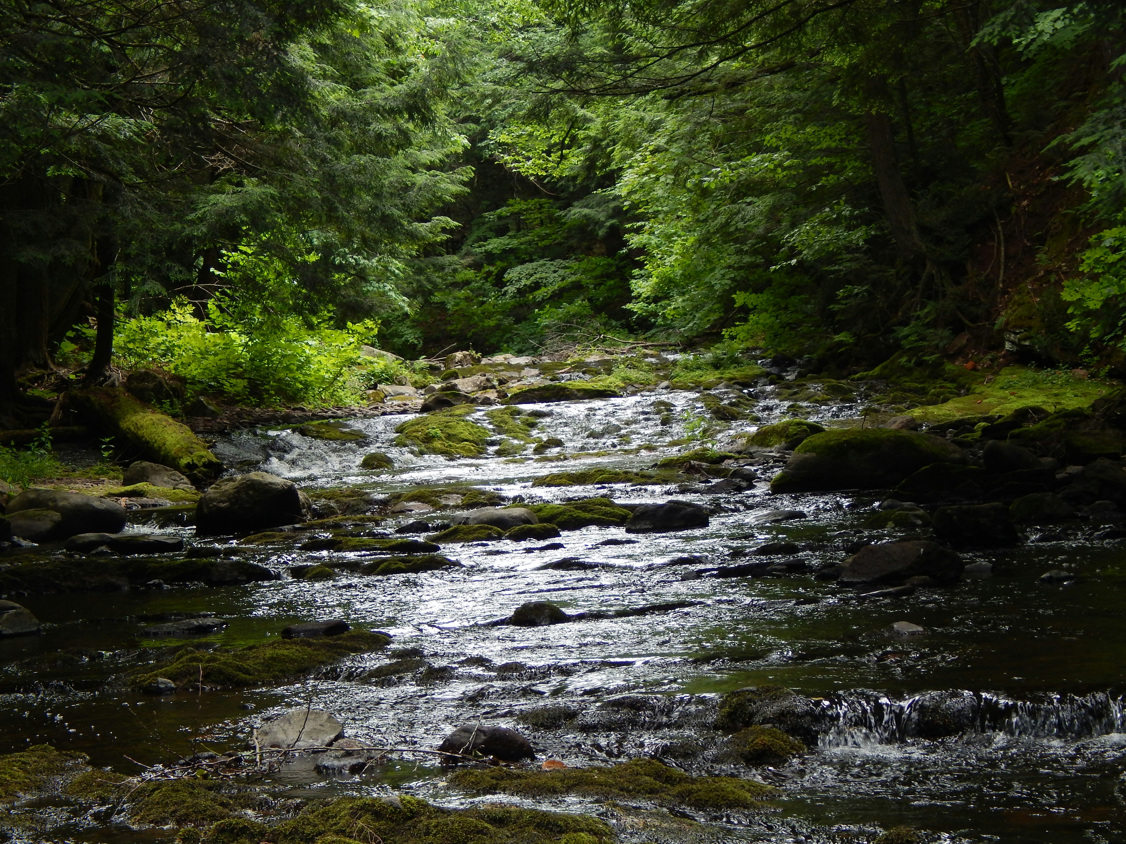 Photo by scarlettweiss