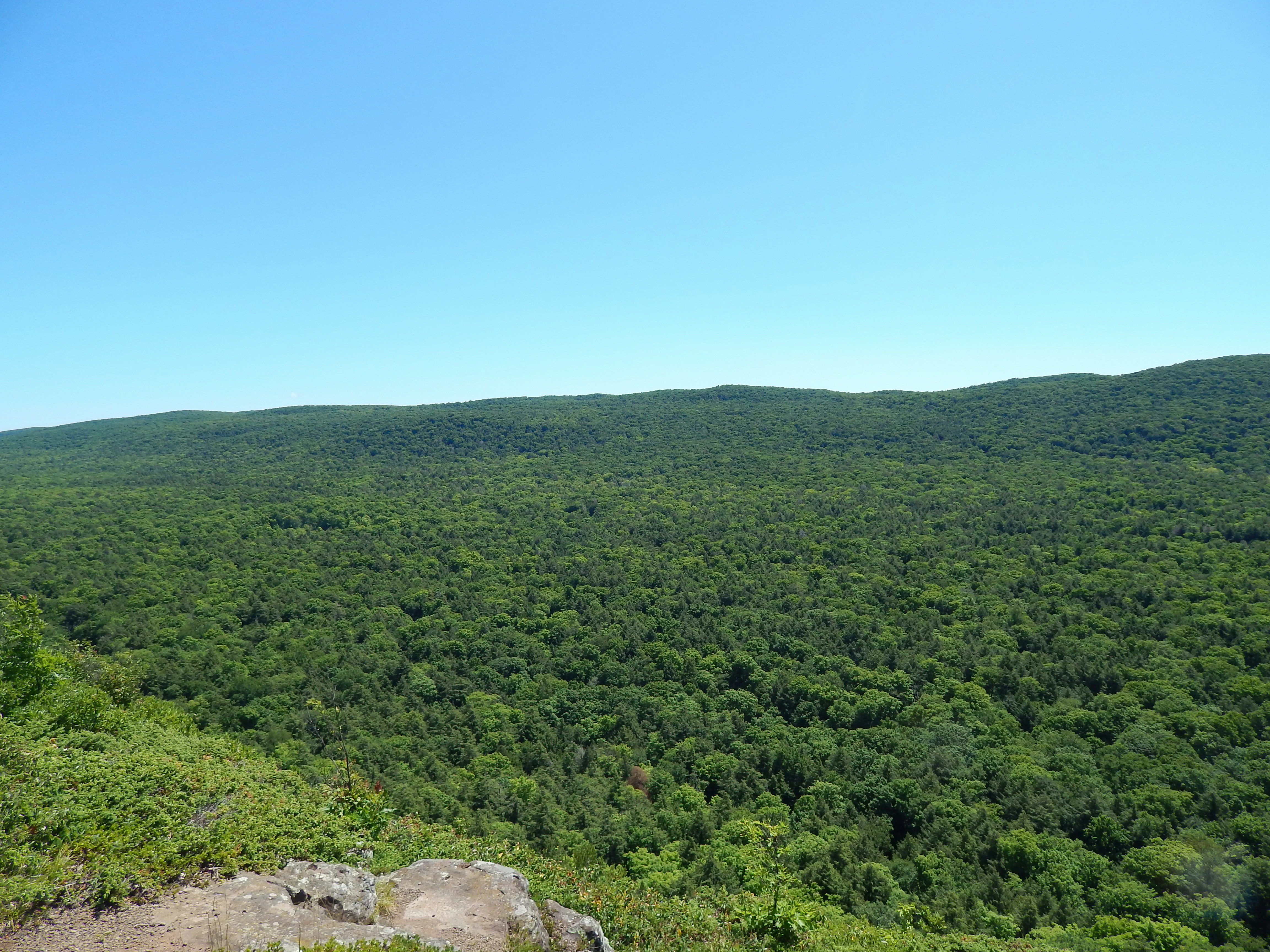 Gorongosa National Park, Mozambique - None