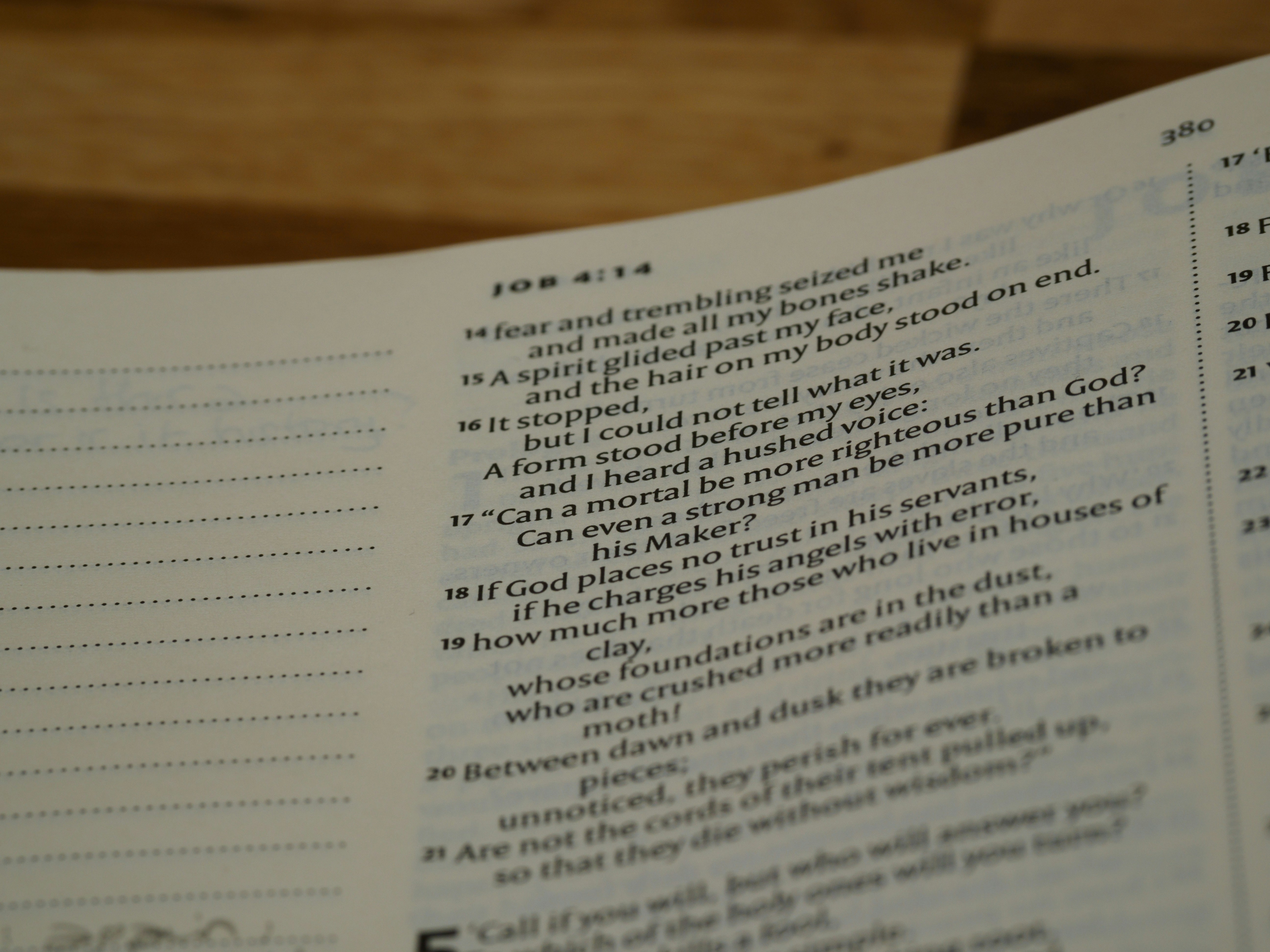 Photo by brett_jordan