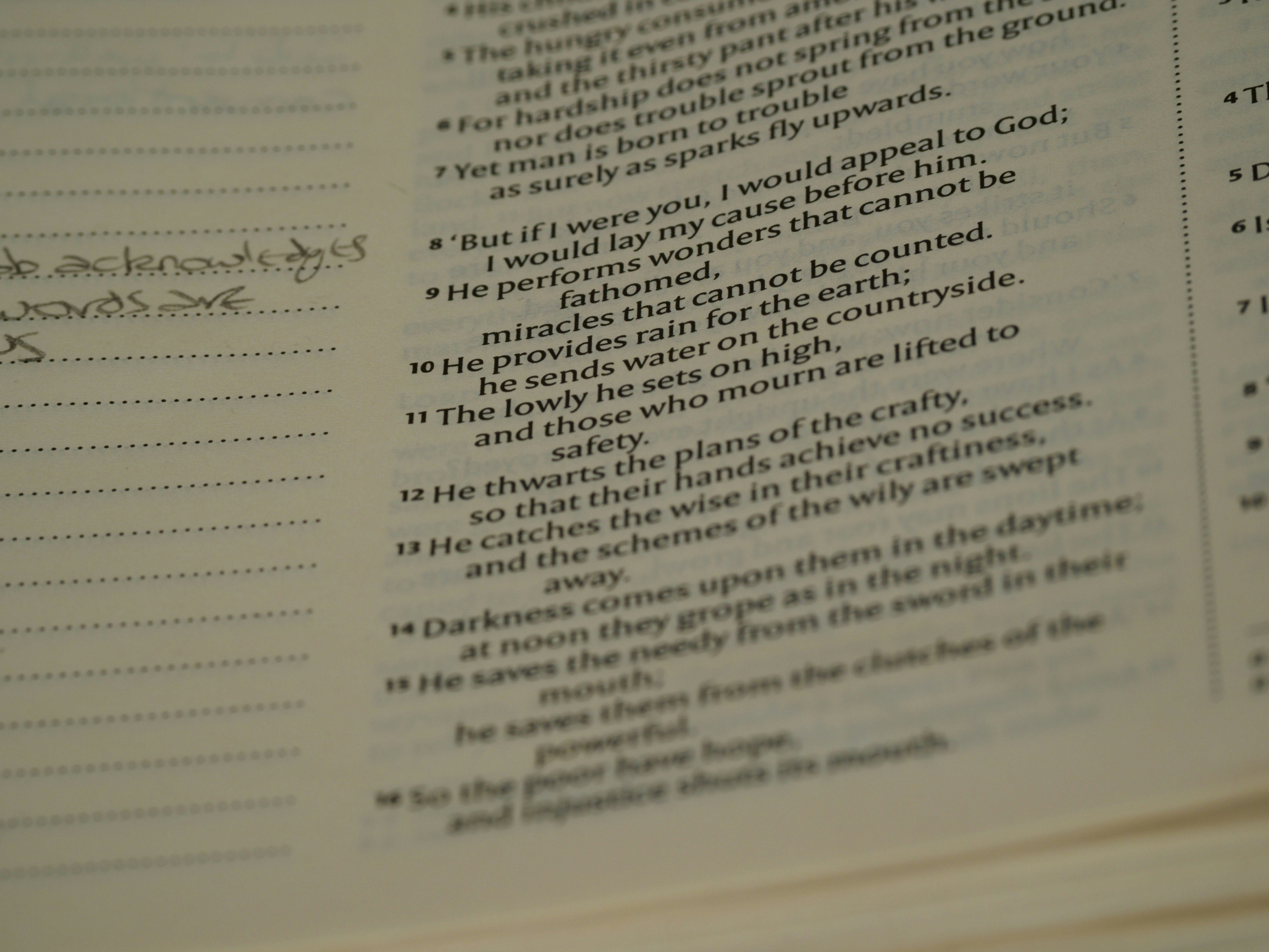 Photo by brett_jordan