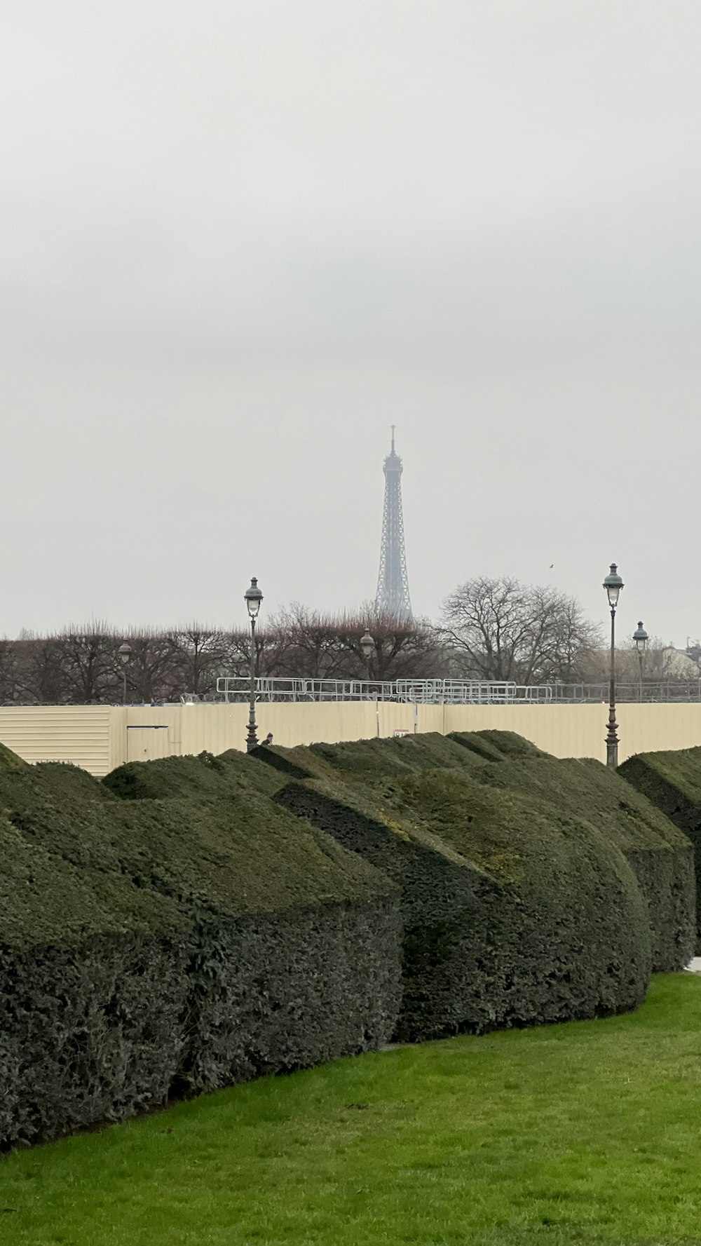 Une rangée de haies avec vue sur la Tour Eiffel en arrière-plan