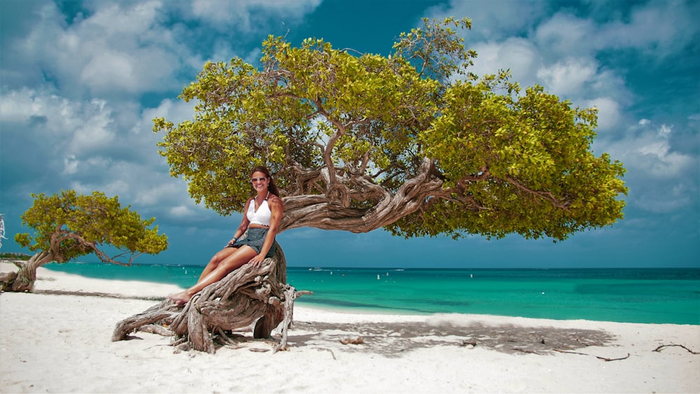 a woman sitting on a tree on a beach