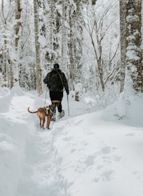 a man walking a dog through a snow covered forest