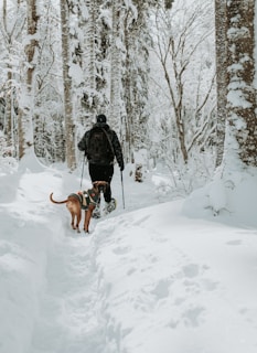 a man walking a dog through a snow covered forest