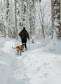 a man walking a dog through a snow covered forest