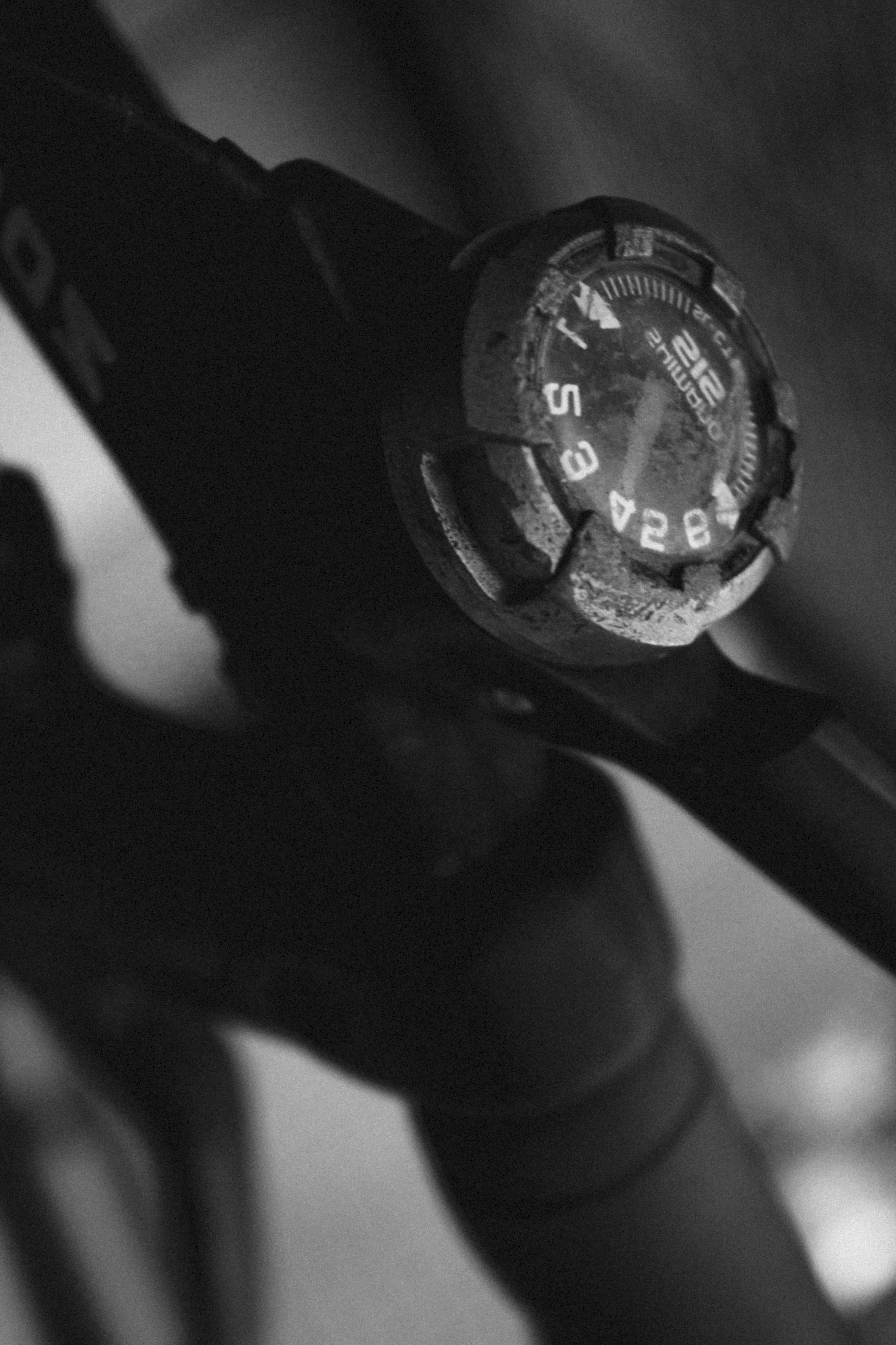 Photo by holz_veronika