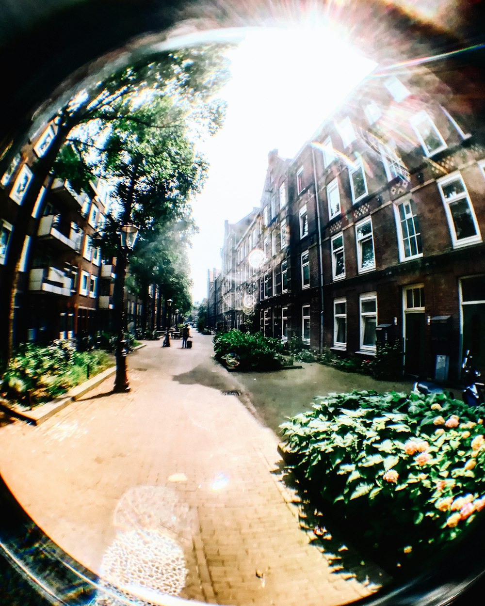 Una vista de una calle a través de una lente de ojo de pez