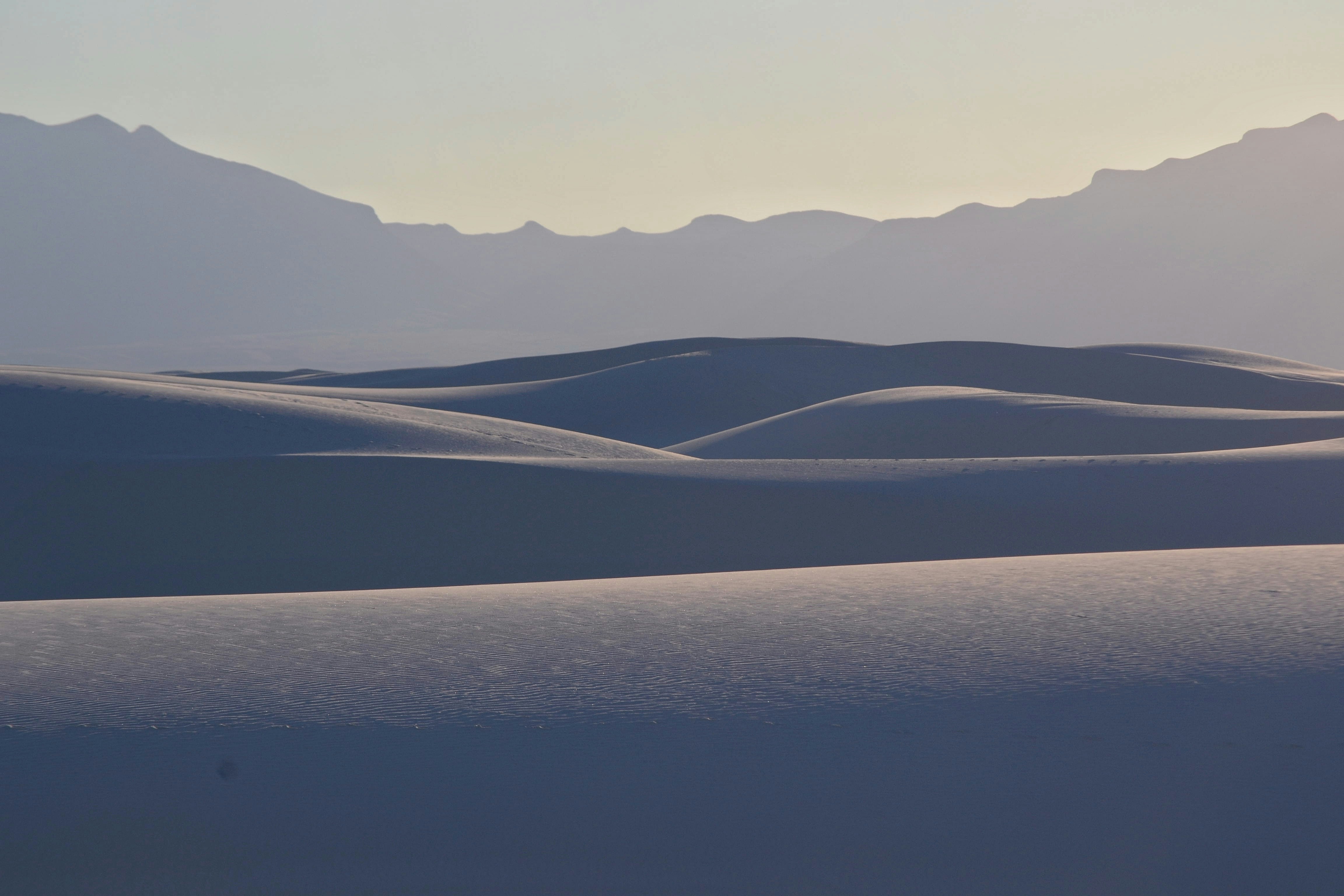 Photo by saswata_dash