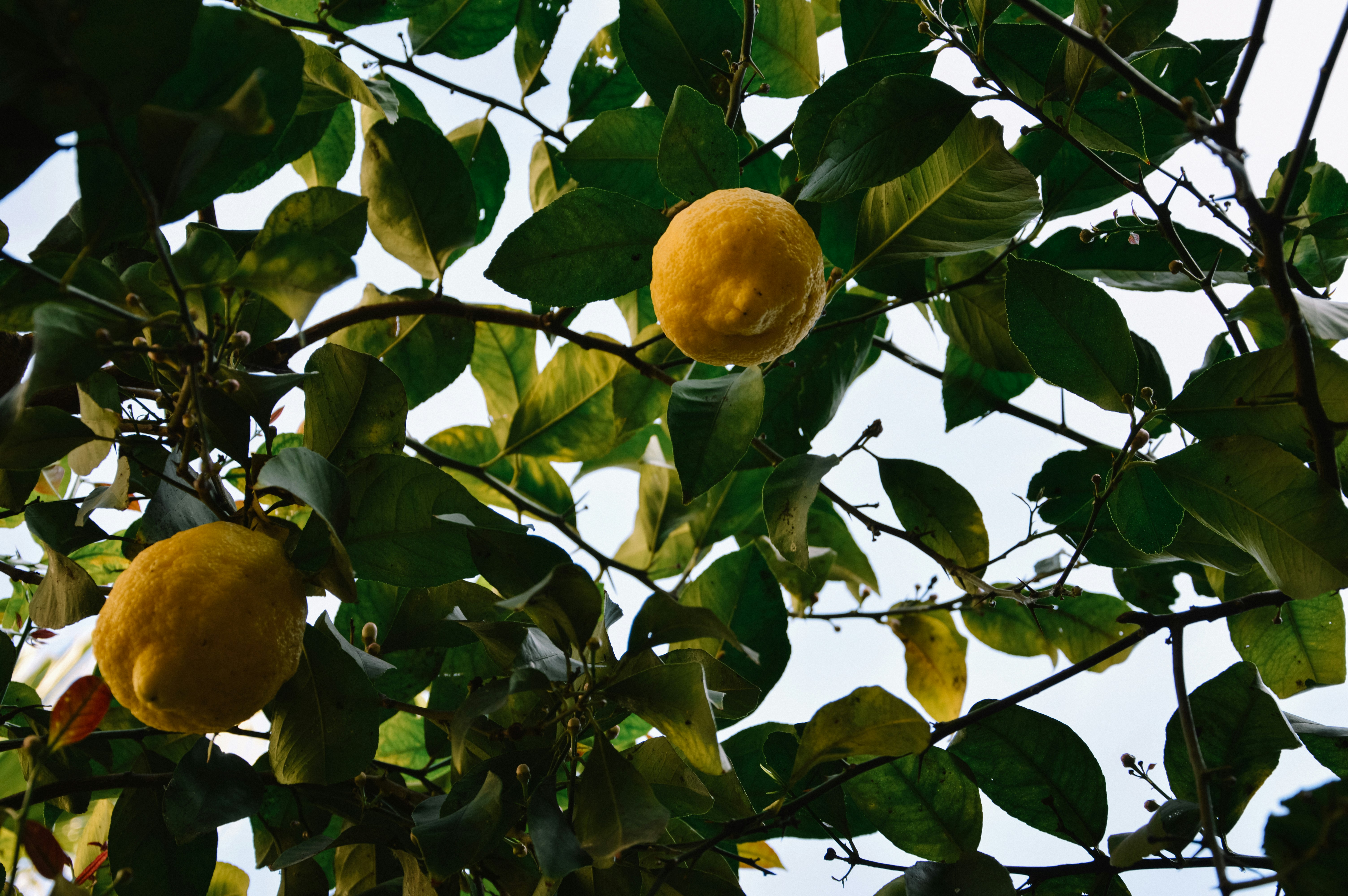 Photo by easterthere