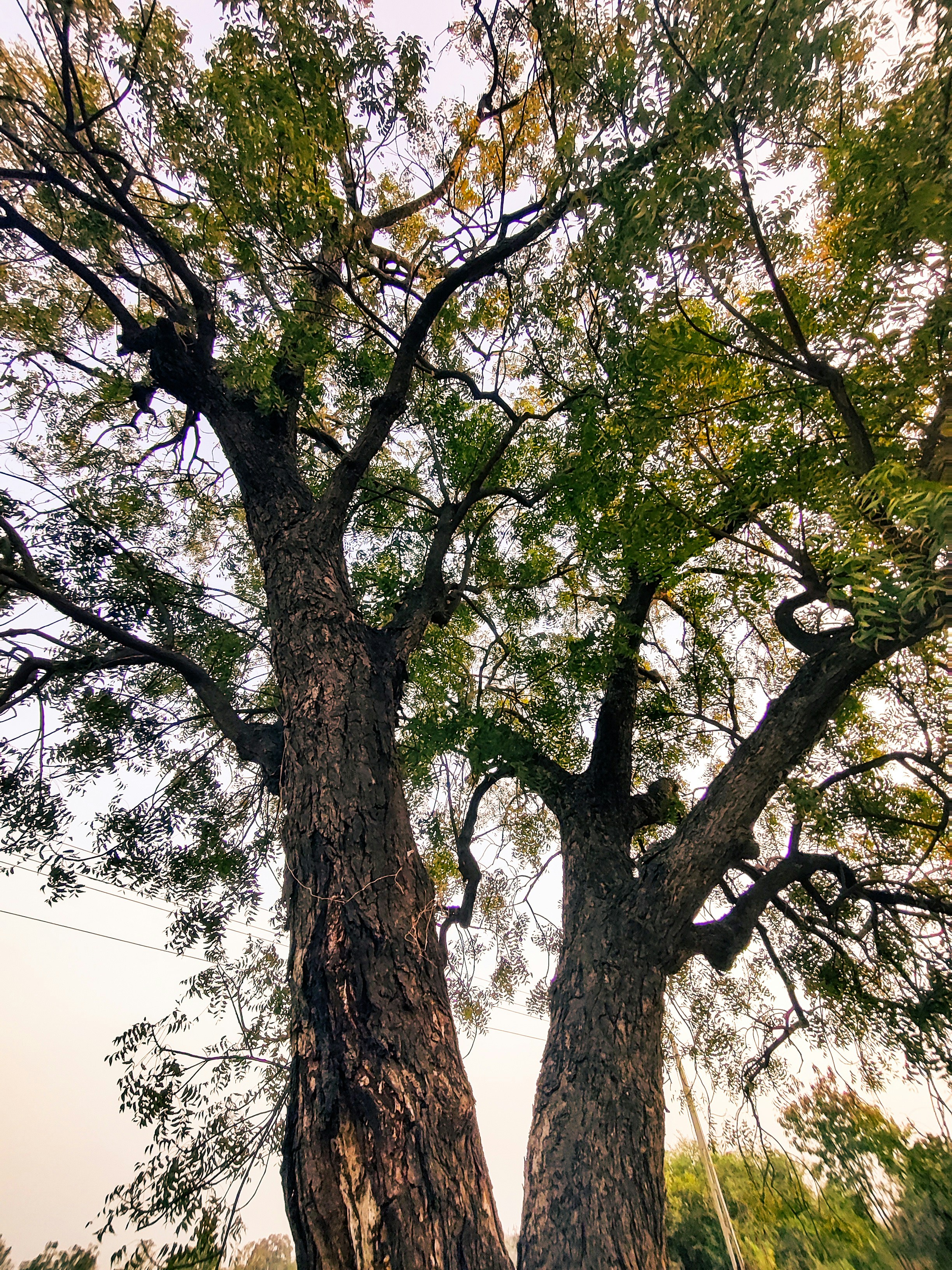 Photo by medicoinfocus