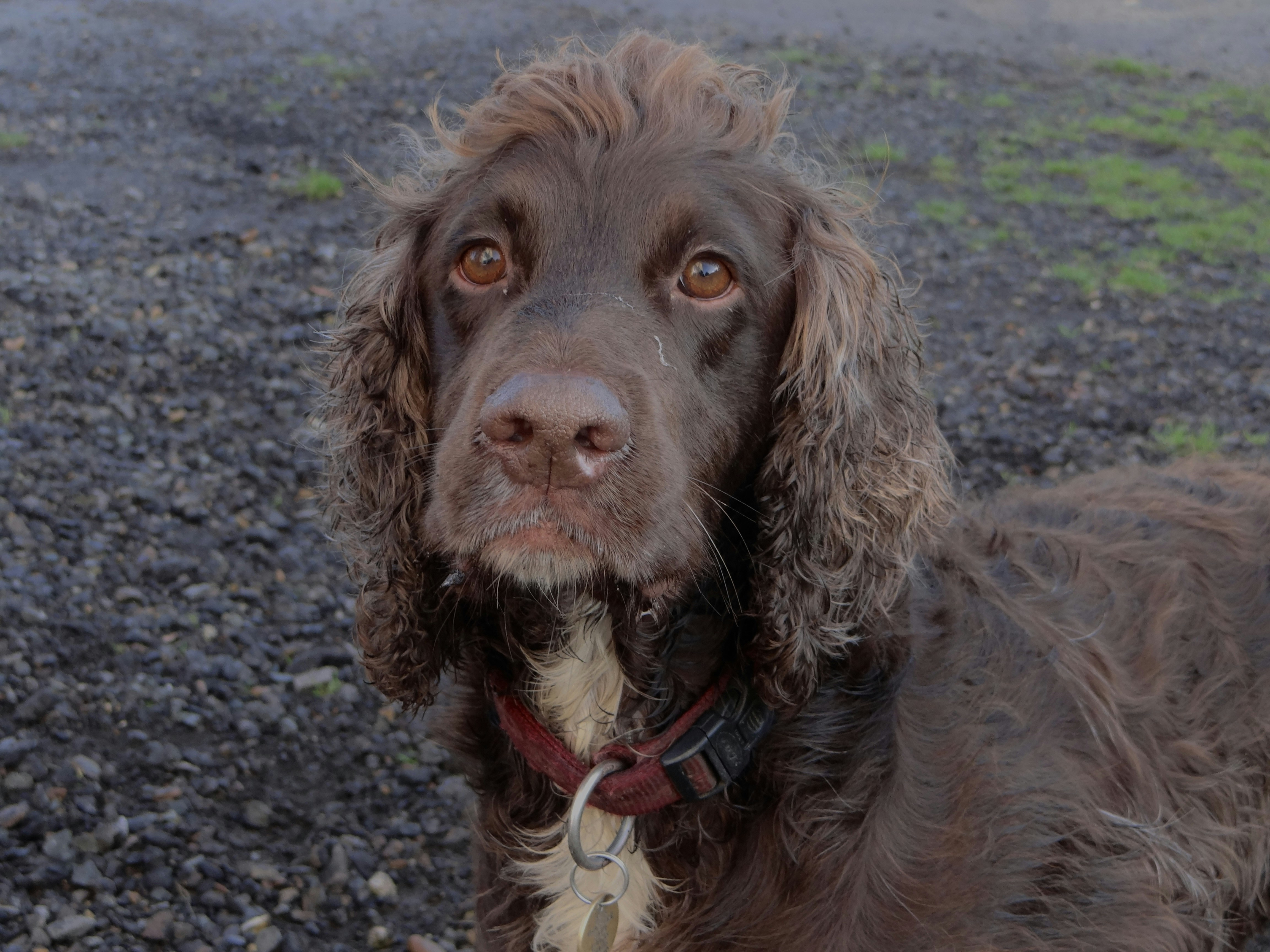 Photo by julia_fiander