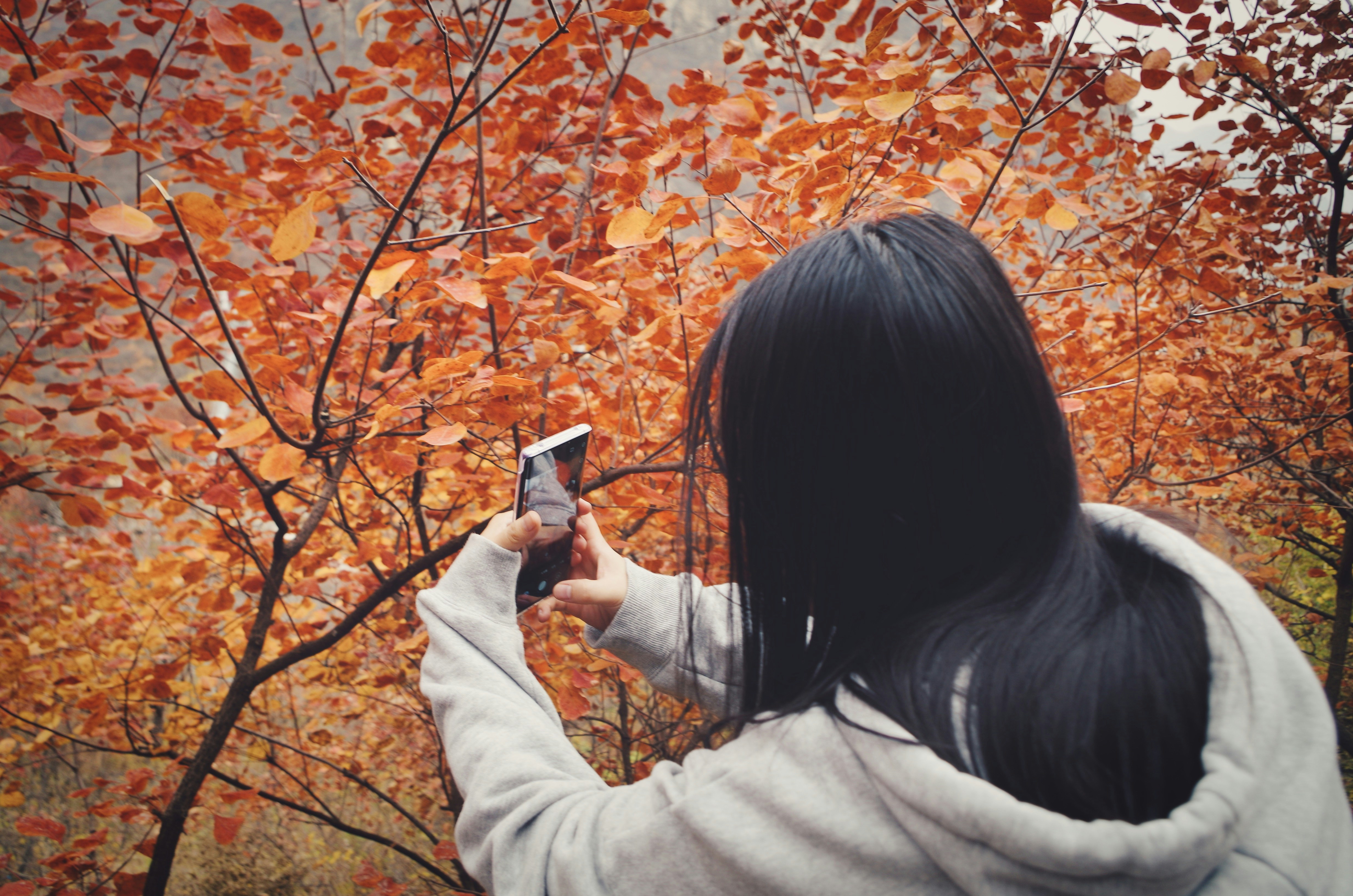 person taking photos of a fallen tree - emergency tree responders