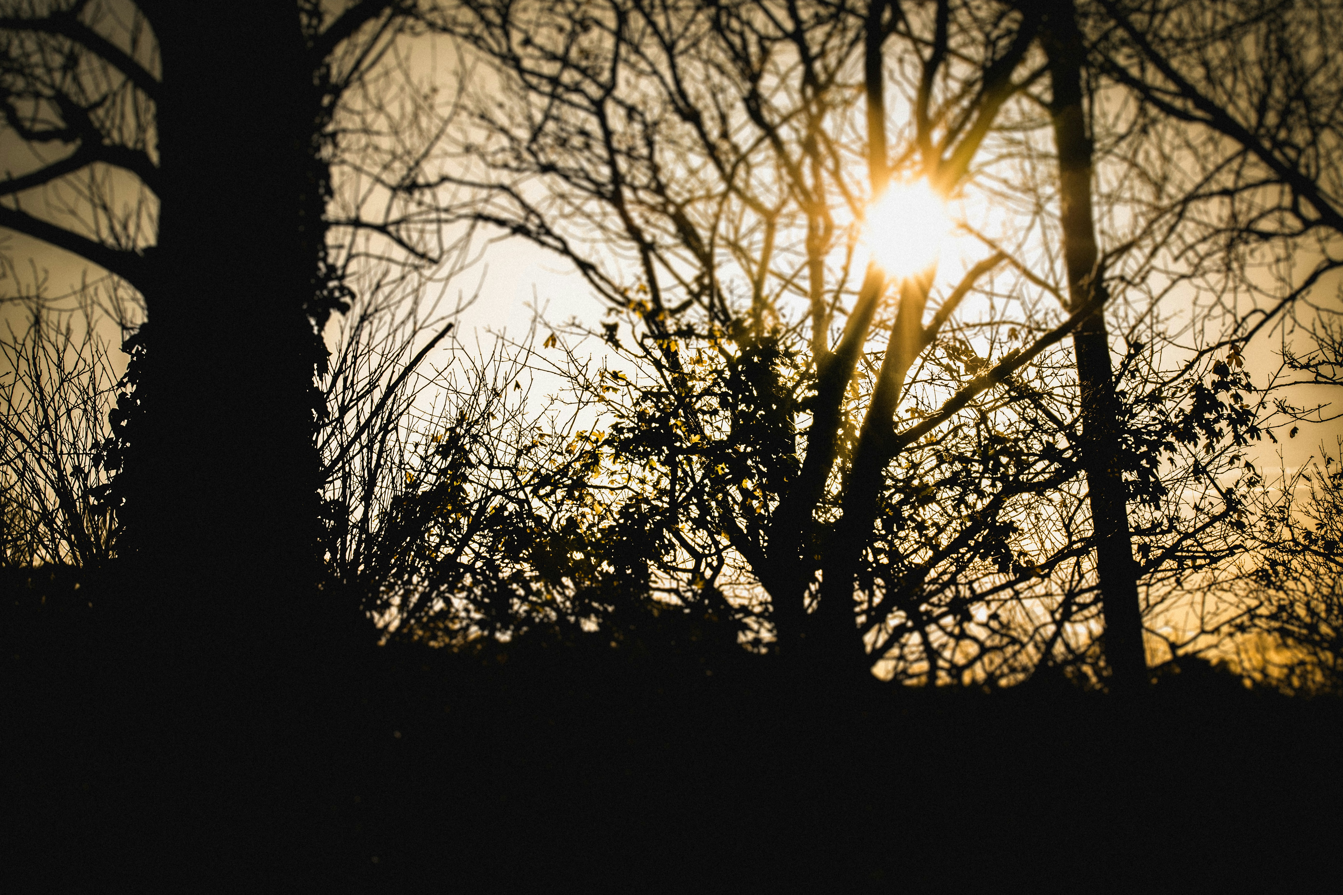 Photo by lovelyscape