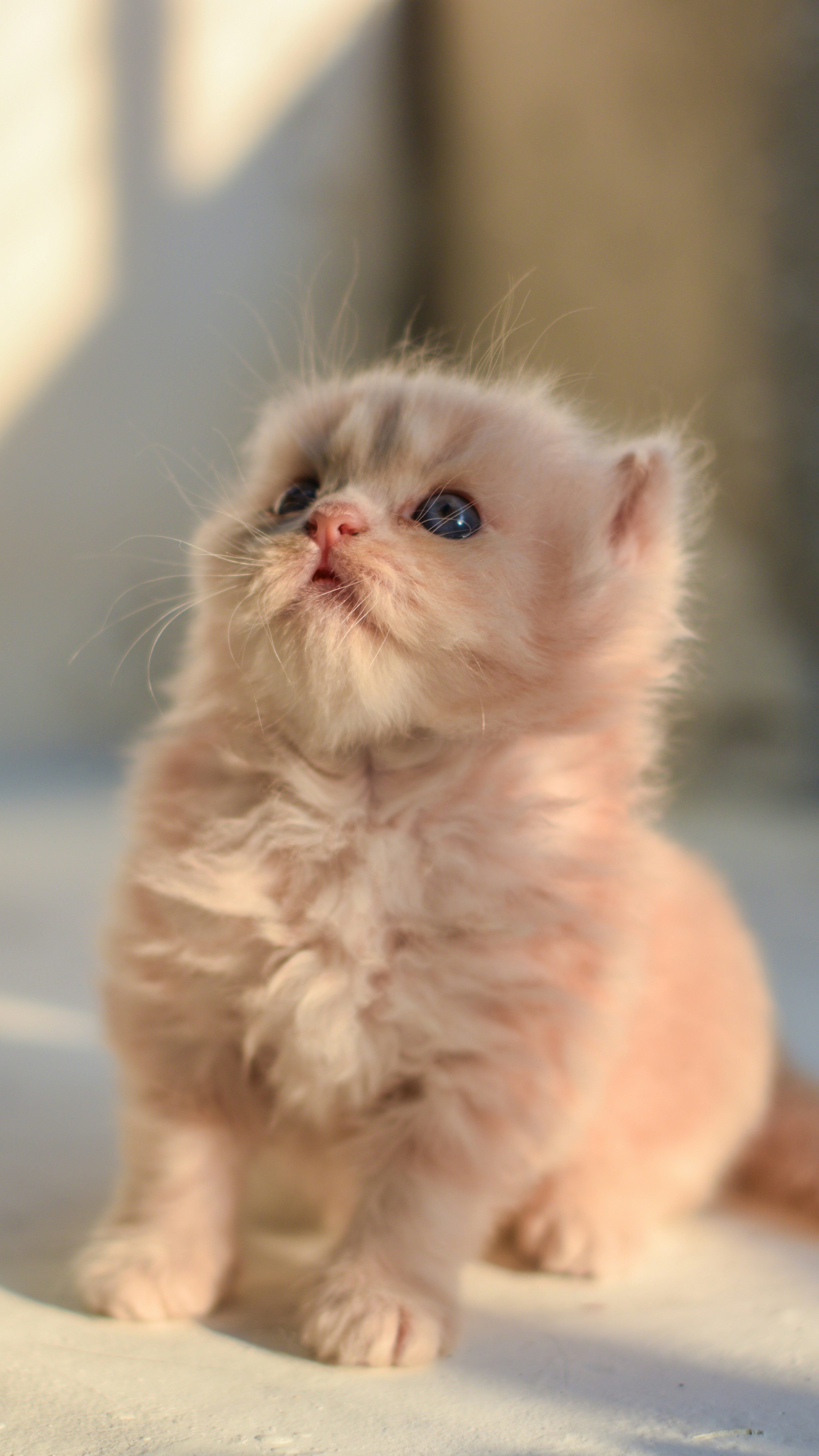 Photo by faizalsulthan