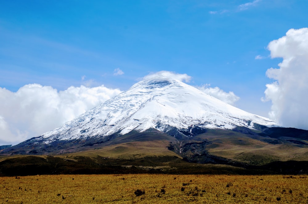 uma grande montanha coberta de neve ao longe