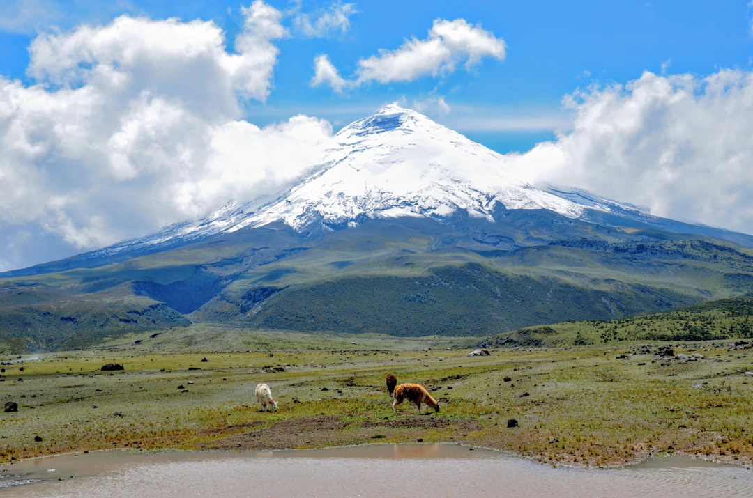 13-Day Ecuador Luxury Travel Itinerary