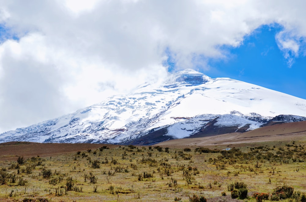 a large snow covered mountain in the distance