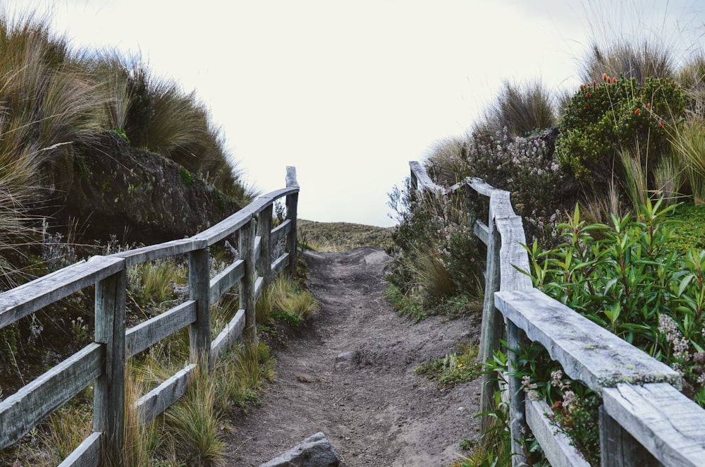 a wooden path leading to a grassy hill