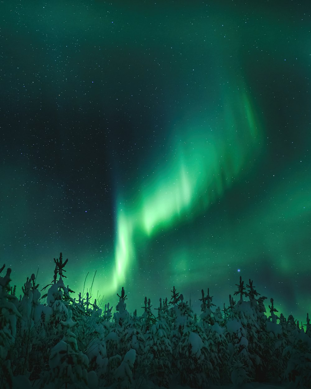 uma aurora verde e azul no céu noturno