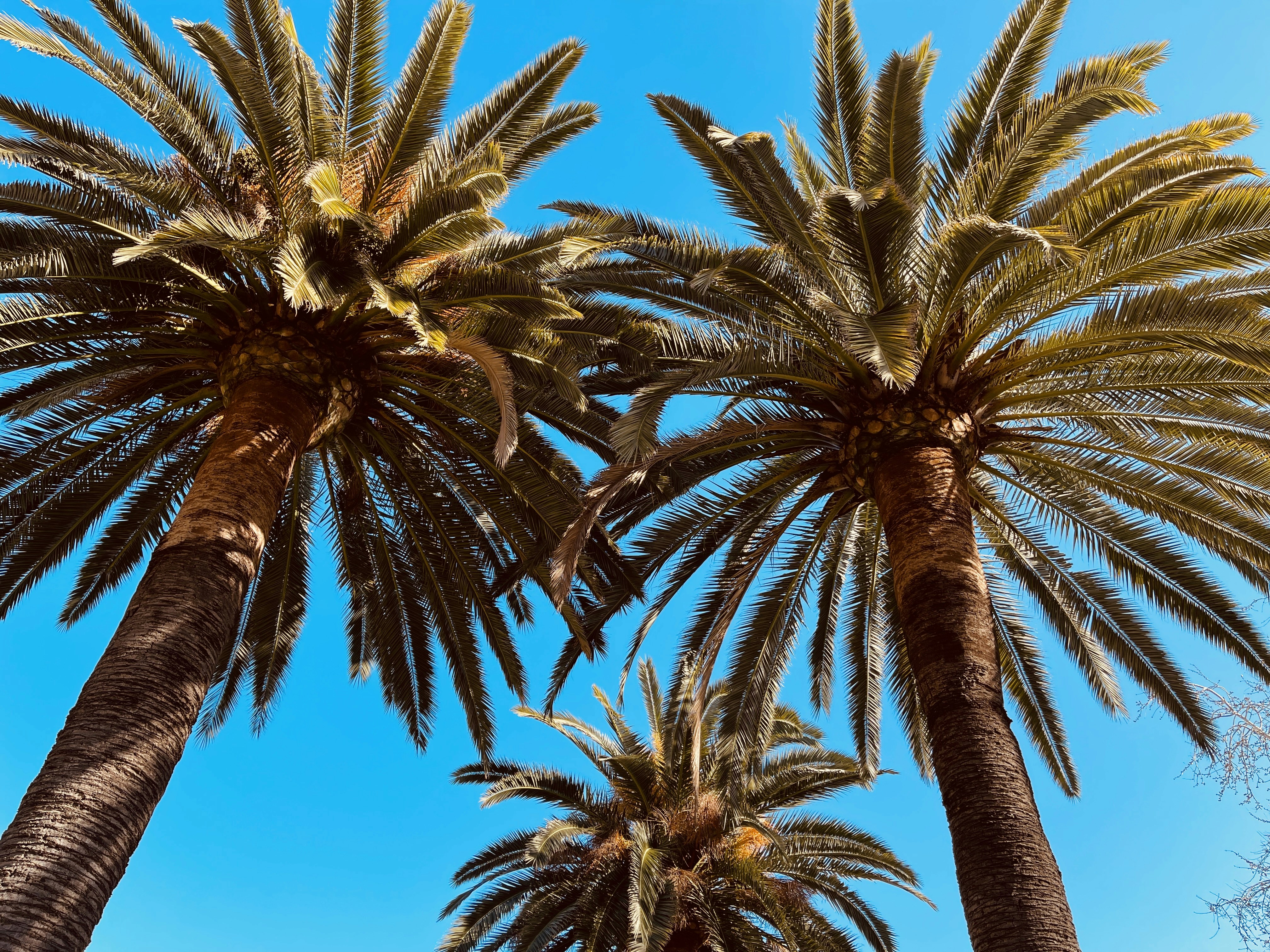 Photo by _jeremiah85_