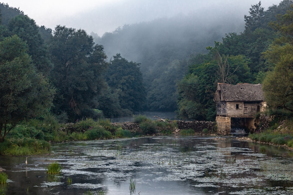 a small house sitting on top of a river next to a forest