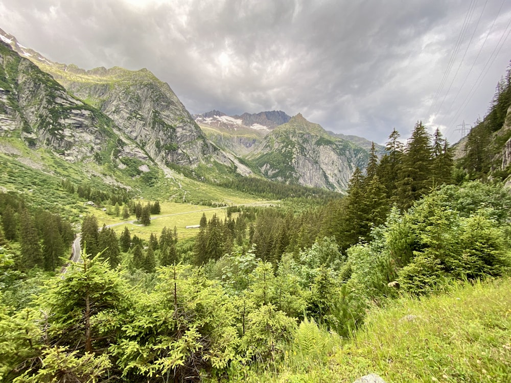 a scenic view of a valley with mountains in the background