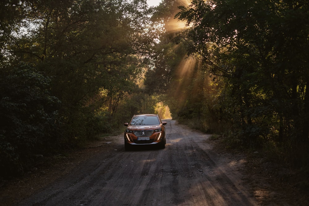 a car driving down a dirt road surrounded by trees