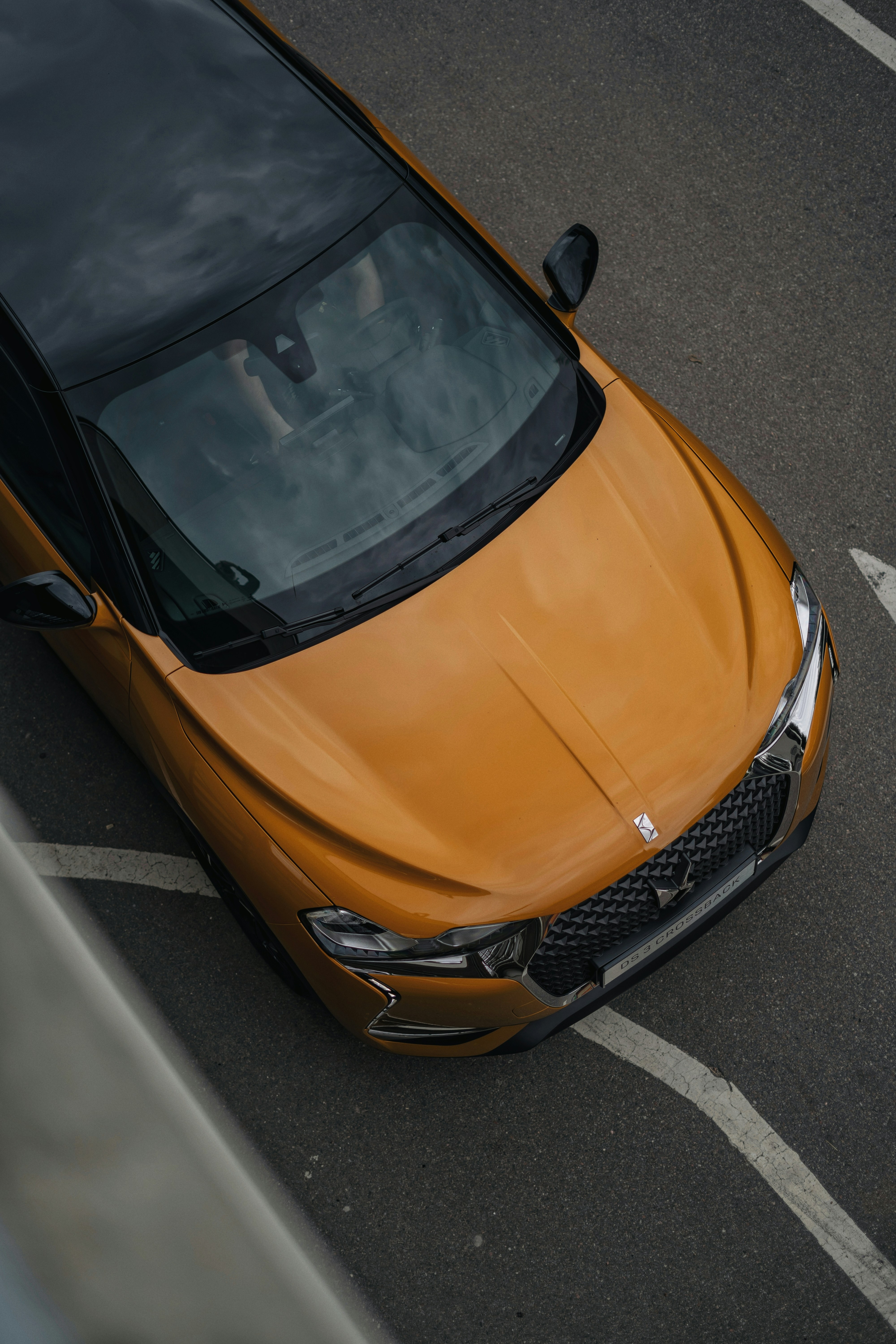 Photo by olenkasergienko