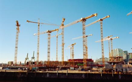 a bunch of cranes that are next to a body of water