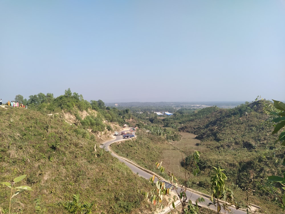 a view of a winding road in the middle of a jungle