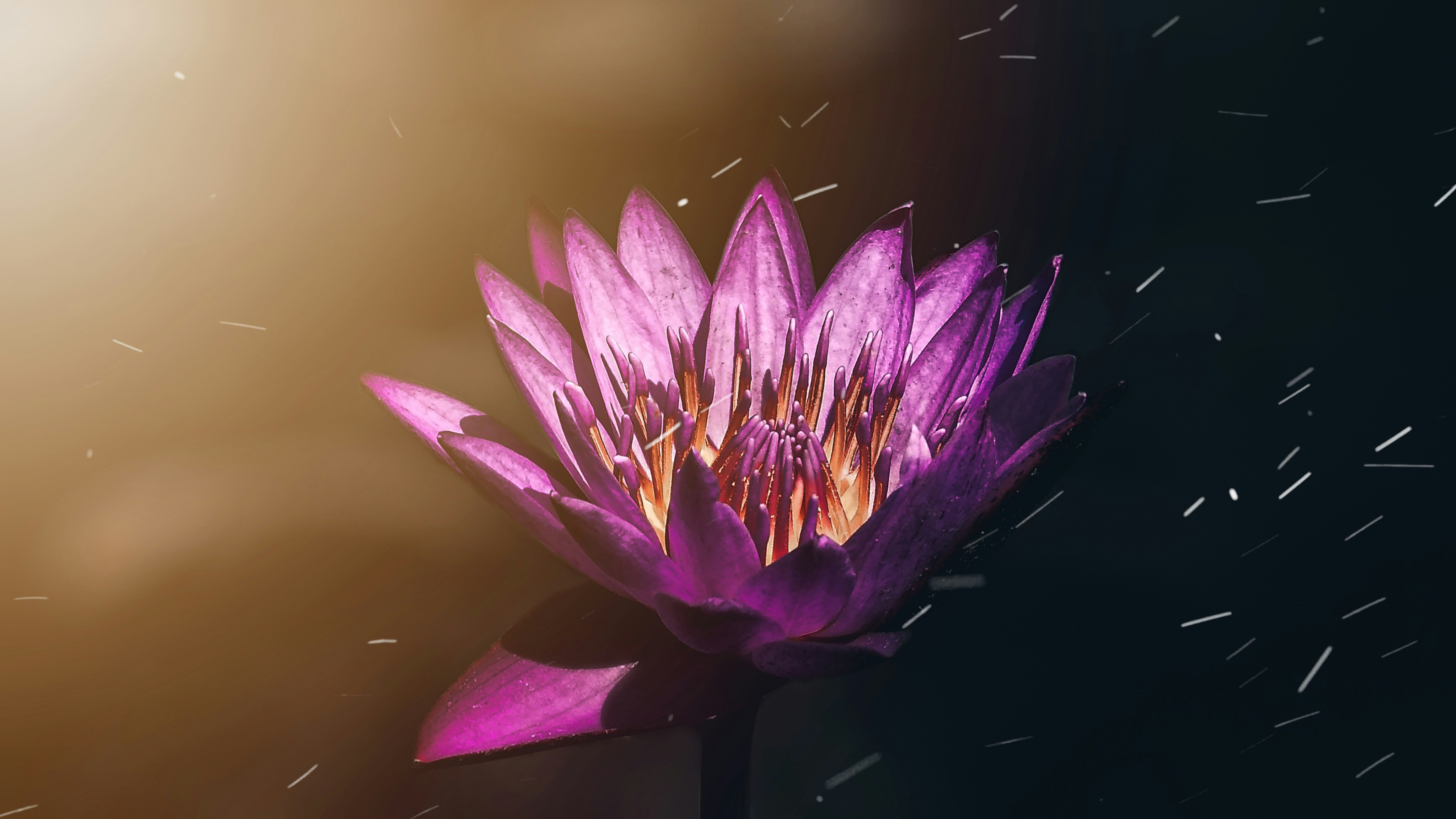 Photo by shahvraj_99