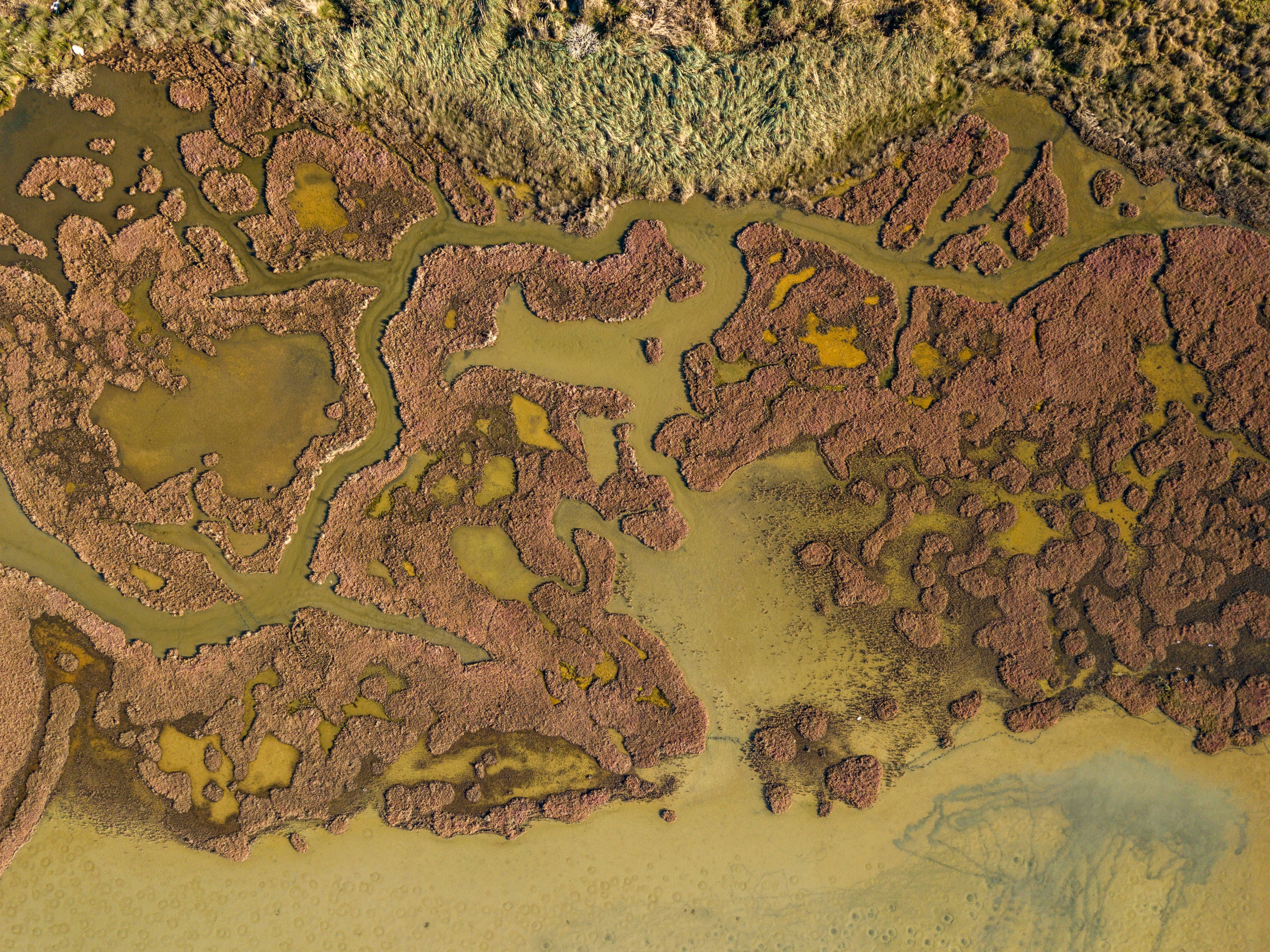 an aerial view of a muddy area with water