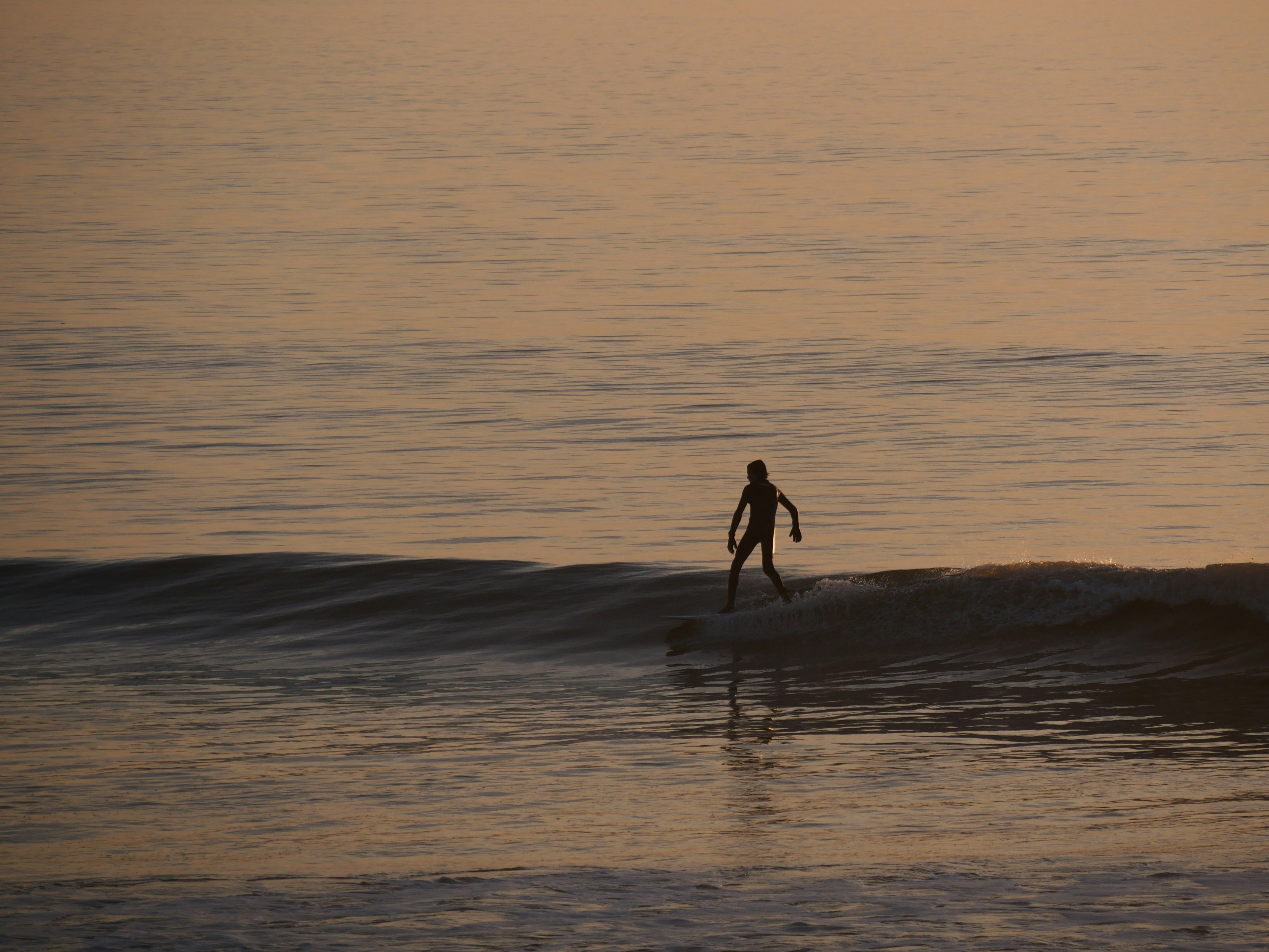 Photo by nimbus_vulpis